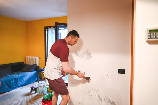 Best Certified Mold Removal  in Ladoga, IN